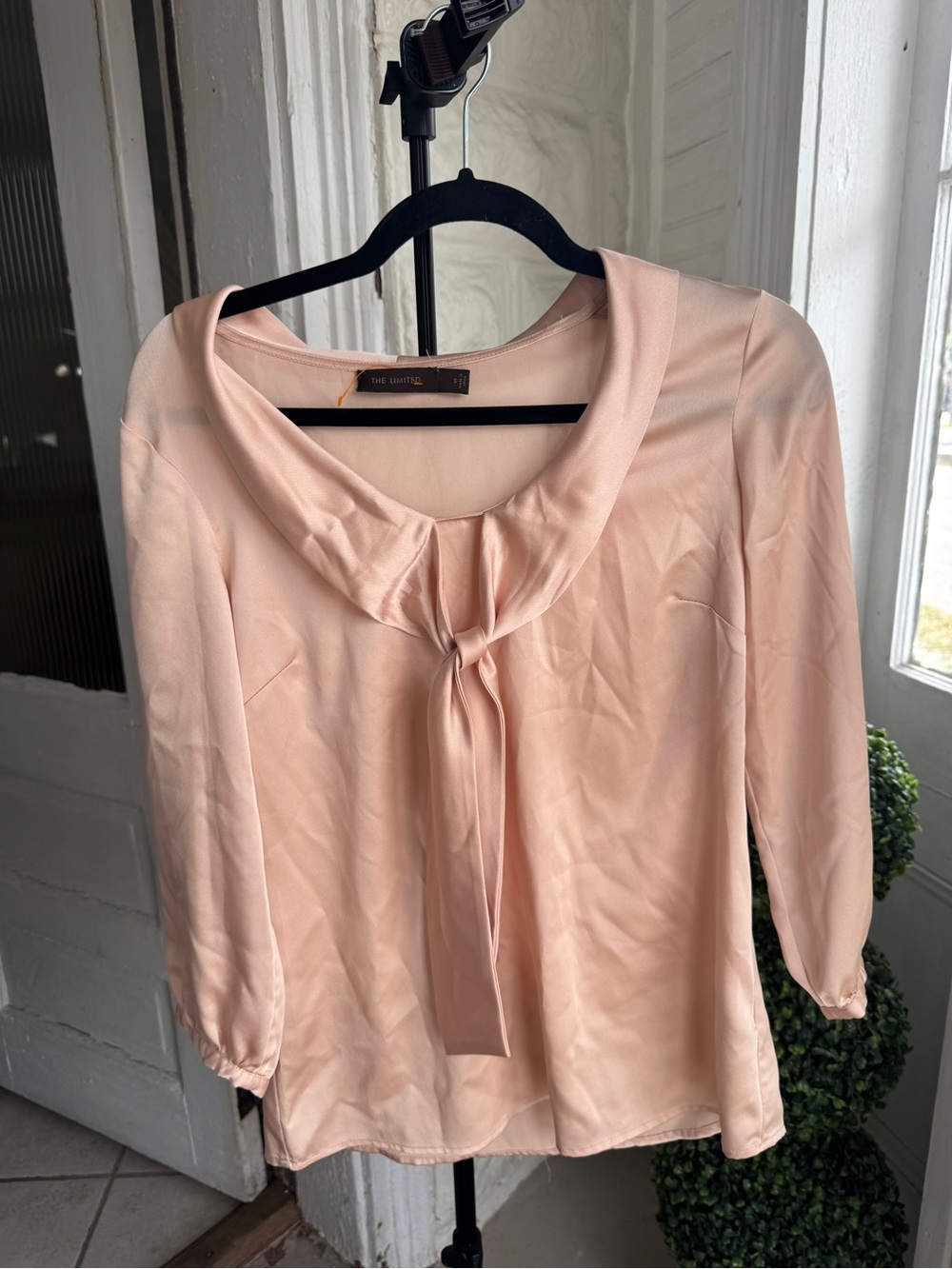 The Limited Pale Pink Tie-Neck Blouse
